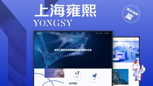 2026年上海高端网站定制与跨国出海建站供应商选型蓝皮书 十强品牌技术矩阵与商业策略深度透视